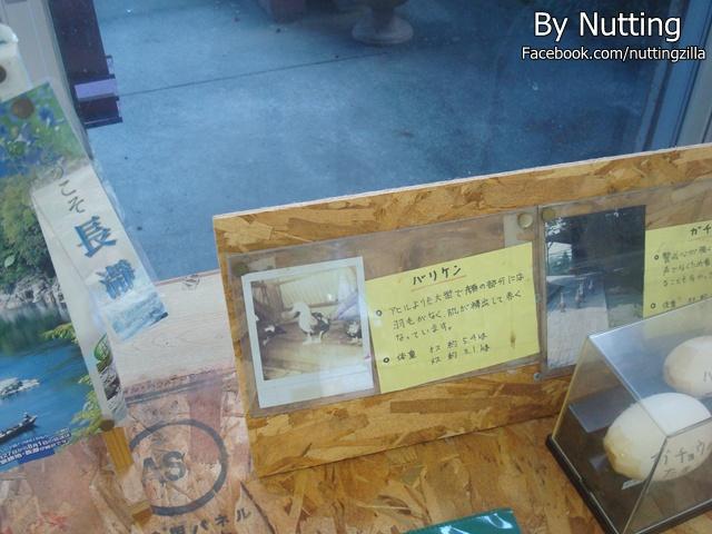DSC03967.JPG